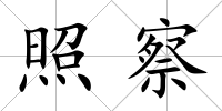 照察