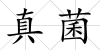 真菌