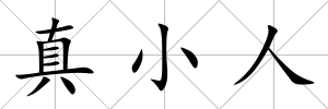 真小人