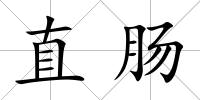 直腸