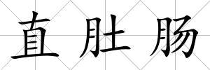 直肚腸