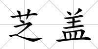 芝蓋