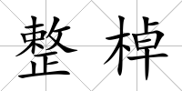 整棹