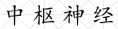 中樞神經