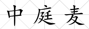 中庭麥