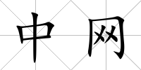 中網(wǎng)