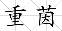 重茵