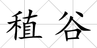稙谷