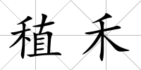 稙禾