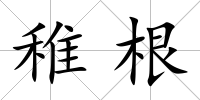 稚根