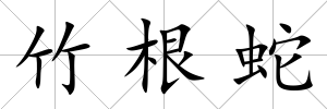 竹根蛇