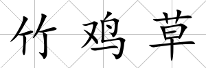 竹雞草