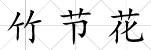 竹節(jié)花