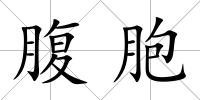 腹胞