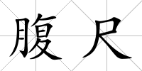 腹尺