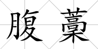腹藳