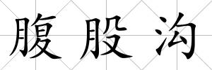 腹股溝