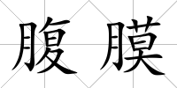 腹膜