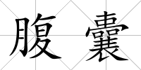 腹囊