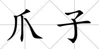 爪子