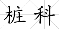 樁科