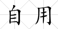 自用