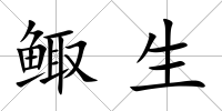 鯫生