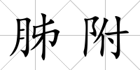 胏附