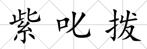 紫叱撥