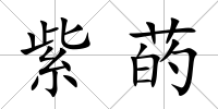 紫菂