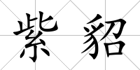 紫貂