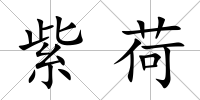 紫荷