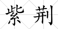 紫荊