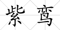 紫鸞