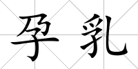 孕乳