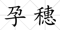 孕穗