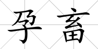 孕畜