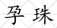 孕珠