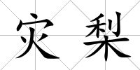災(zāi)梨