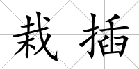 栽插
