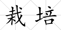 栽培