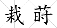 栽蒔