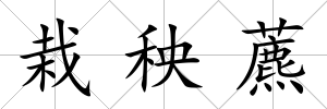 栽秧藨