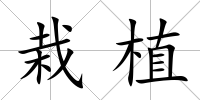 栽植