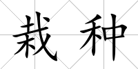 栽種