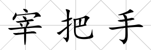 宰把手