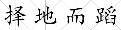 擇地而蹈