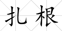 扎根