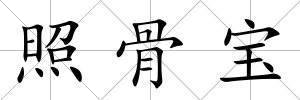 照骨寶