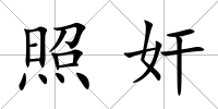 照奸